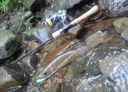 沢でイワナ釣り